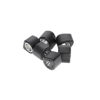 Dr Pulley 17x12 Round Roller Weights 